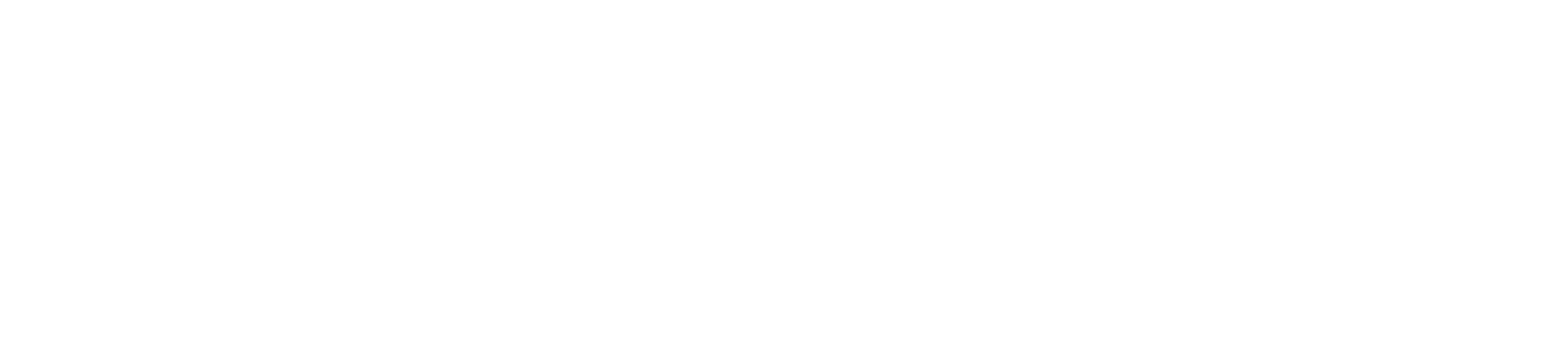 ROKETSAN-LOGO-WHITE